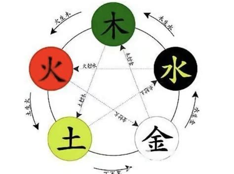 中五行|中字五行属什么